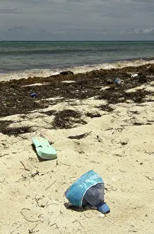 Yucatan: Trash on the shore