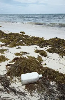 Yucatan: Trash on the shore