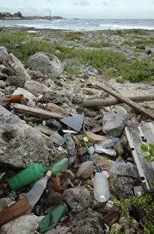 Trash: Trash on the shore