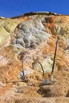 Travertine: Travertine Formations - Mammoth Hot Springs Yellowstone