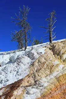 Travertine: Travertine Formations - Mammoth Hot Springs Yellowstone