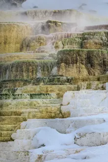 Mammoth: Travertine pools of Mammoth Hot Springs in Yellowstone