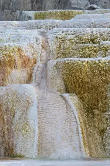 Mammoth: Travertine Terraces at Hotspring, Palette Spring