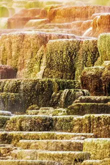 Mammoth: Travertine terraces at Minerva Spring, Mammoth Hot
