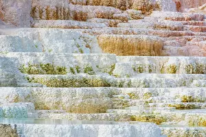 Mammoth: Travertine terraces at Minerva Spring, Mammoth Hot