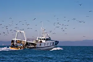 Trawler: Back of a trawler in the early morning in winter