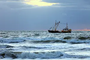 Trawler: Trawler - fishing boat at sea