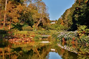 Trebah: Trebah Garden - Autumn