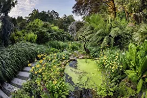 Steps: Trebah Garden - Cornwall - UK