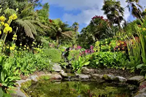 Landscaped: Trebah Garden pool in Spring