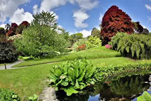 Landscaped: Trebah Garden pool in Spring