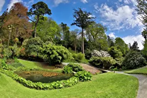 Trebah: Trebah Garden in Spring