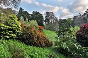 Trebah: Trebah Garden - Spring - Cornwall - UK