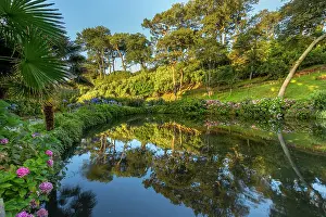 Feature: Trebah Garden - Summer - Cornwall - UK