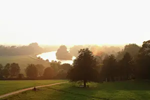 Thames: Tree