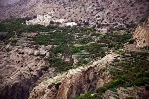 Terraced: Tree