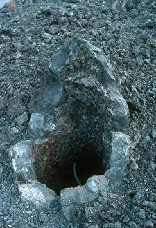 Mold: Tree Cast by Lava