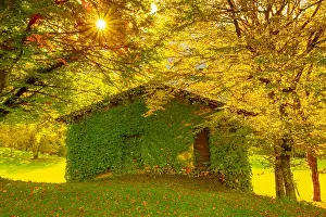 Lombardy: Tree and House on the Field with Mountain View in