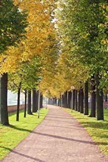 Walkway: Tree-lined pathway along Elbe River Dresden