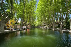 Cafe: Tree-lined pool, les Bassin de l'Etang