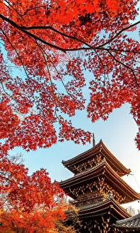 Pagoda: Tree pagoda in the Shinnyodo temple, Japan