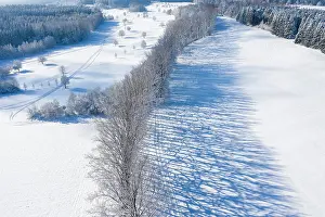 Shadows: Tree row with long shadows in winter, at Icking