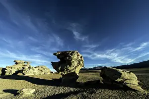 Piedra: Tree of Stone / Petrified Tree