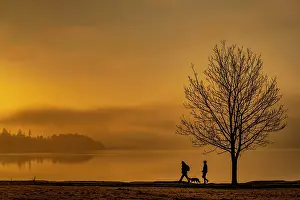 Cumbria: Tree with walkers on lakeshore at sunrise, Ambleside