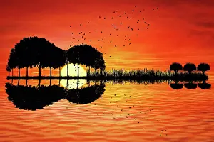 Imagination: Trees arranged in a shape of a guitar on a sunset