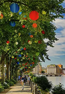 Lantern: The trees on Ballindamm by the Inner Alster Lake