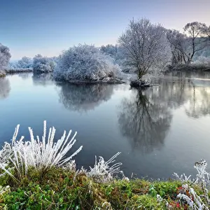 Silence: Trees covered with hoar frost, River Eder in winter