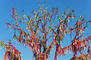 Luck: Trees with good luck ribbons, Yalta, Crimea