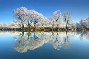 Silence: Trees with hoar frost, reflection in River Saale