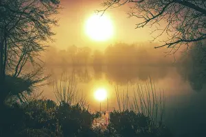 Taunus: Trees by the lake, fog in the morning, at sunrise