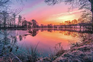 Taunus: Trees at the lake, fog in the morning, at sunrise