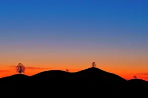 Silhouettes: Trees on moraine hills, silhouettes at sunset, Menzingen