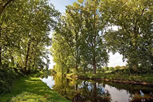 Riverbank: Trees at the Niers, near Weeze, Lower Rhine, North