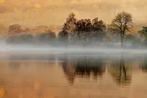 Cumbria: Trees reflected in water surface with fog, morning