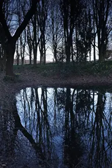 270919: Trees reflected in woodland pool at dusk - Norfolk