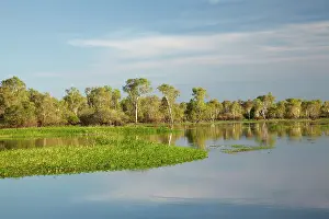 Floodplain: Trees reflected in Yellow Water Billabong