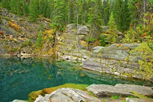 Icefields: Trees, rocks, and cliffs reflect in the
