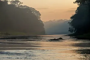 Tributary: Tributary creek of the Rio Negro - at sunrise