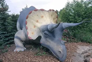 Calgary: Triceratops