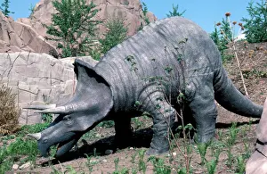 Models: Triceratops