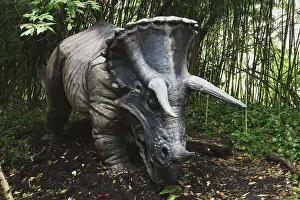 Replica: Triceratops