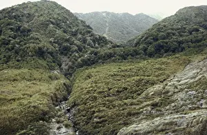 Scoring: Trim Line in New Zealand