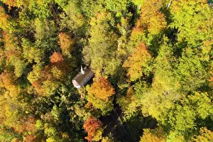 Chapel: Trinity Chapel in autumn mountain forest, Wolfratshausen
