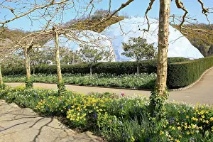 Eden: Tropical Biomes