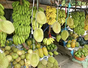 Melons: Tropical Fruits: Papaya, Water Melon, Durian, Avocado
