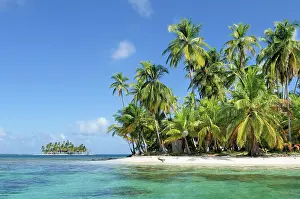 Lonesome: Tropical island, beach with palm trees, Cayos los